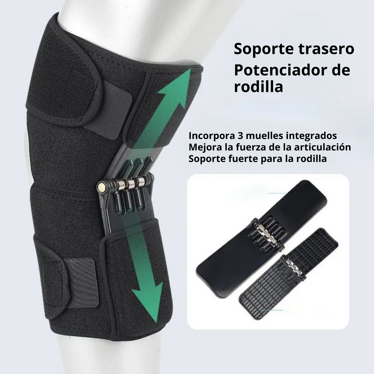 Ortex
