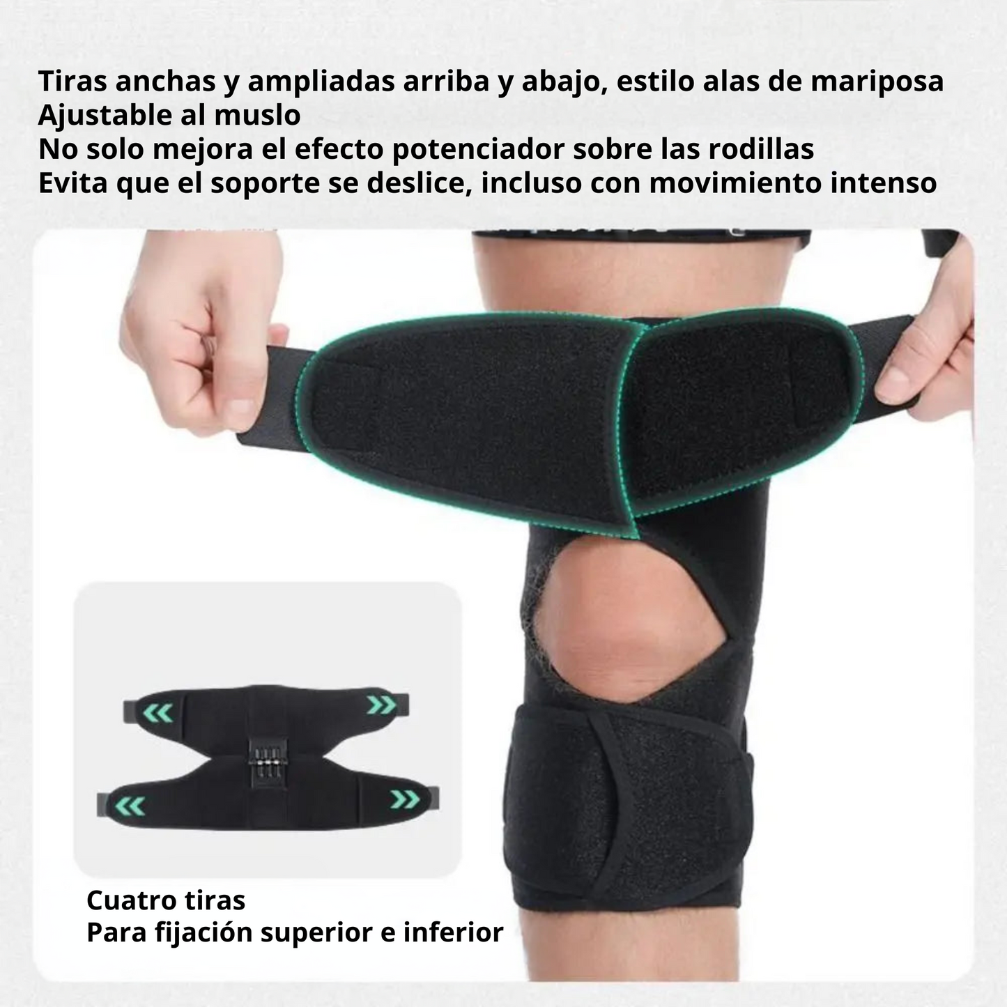 Ortex